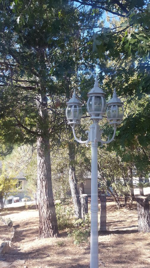 Bluebird Cottage Inn Idyllwild Luaran gambar