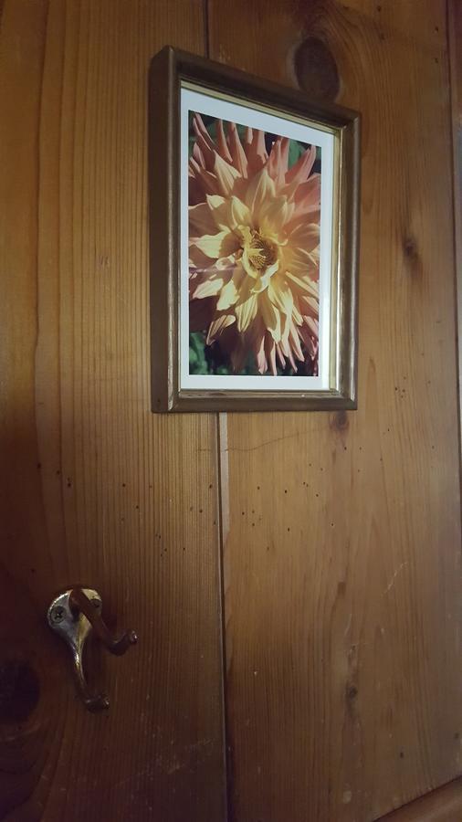 Bluebird Cottage Inn Idyllwild Luaran gambar