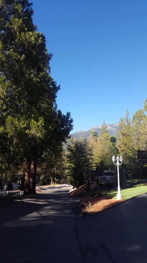 Bluebird Cottage Inn Idyllwild Luaran gambar